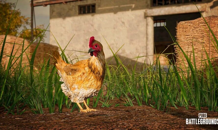 В PUBG: Battlegrounds появятся настоящие курицы
